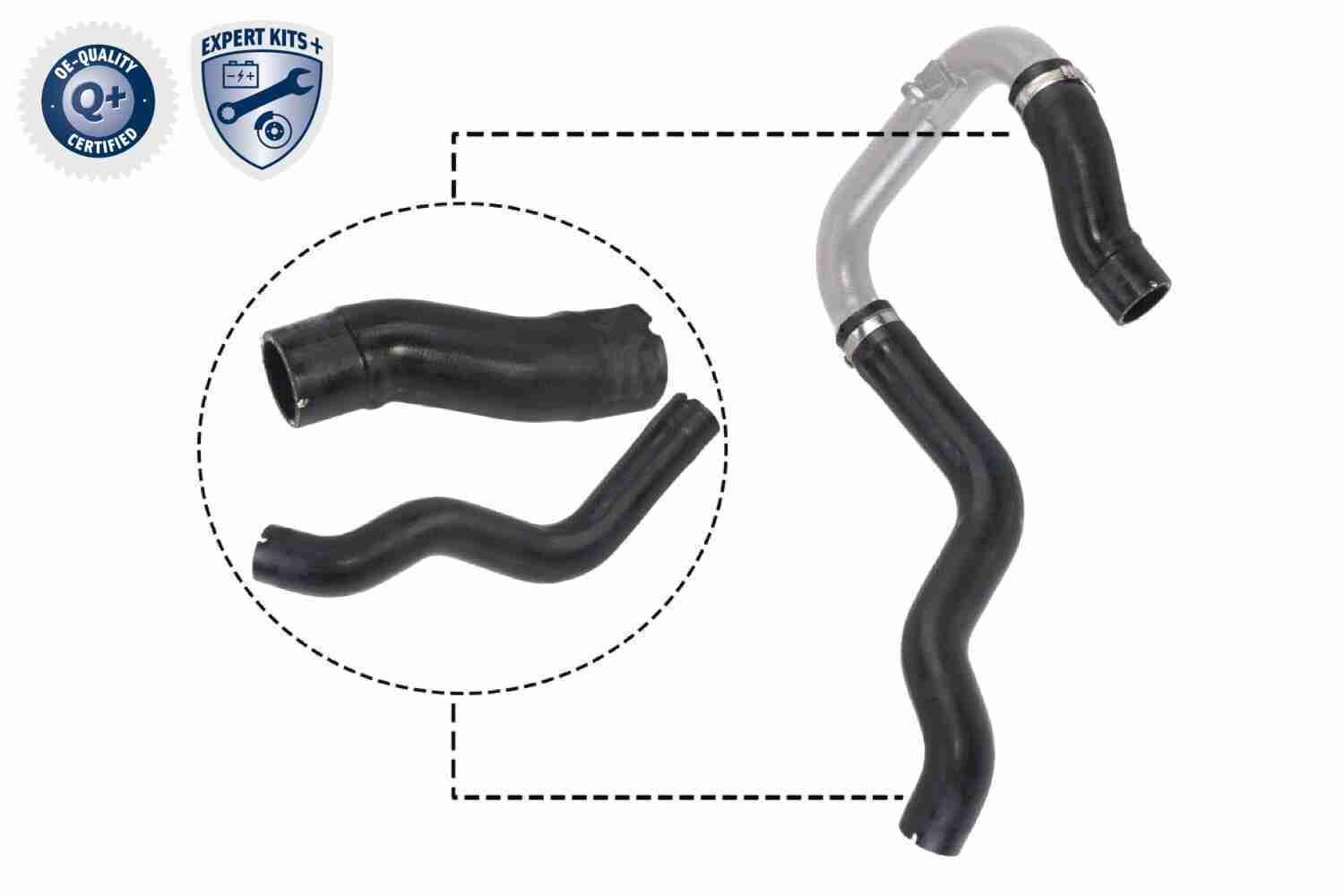 Kompresoriaus padavimo žarna VAICO V24-0731