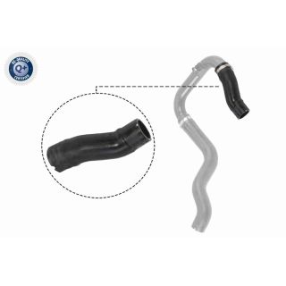 Kompresoriaus padavimo žarna VAICO V24-0732