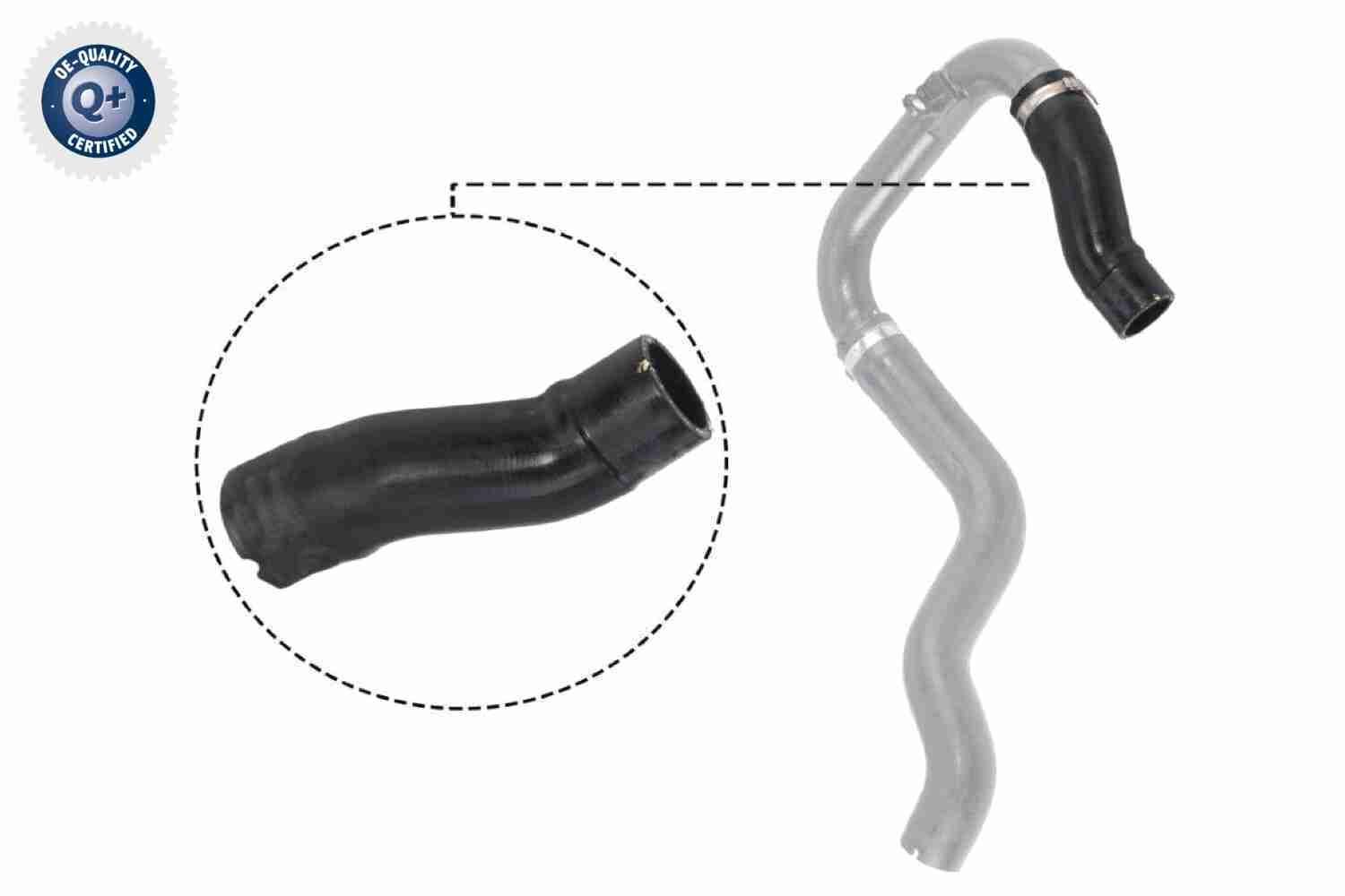 Kompresoriaus padavimo žarna VAICO V24-0732