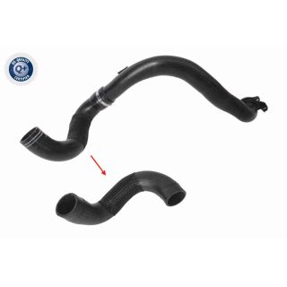 Kompresoriaus padavimo žarna VAICO V24-1177