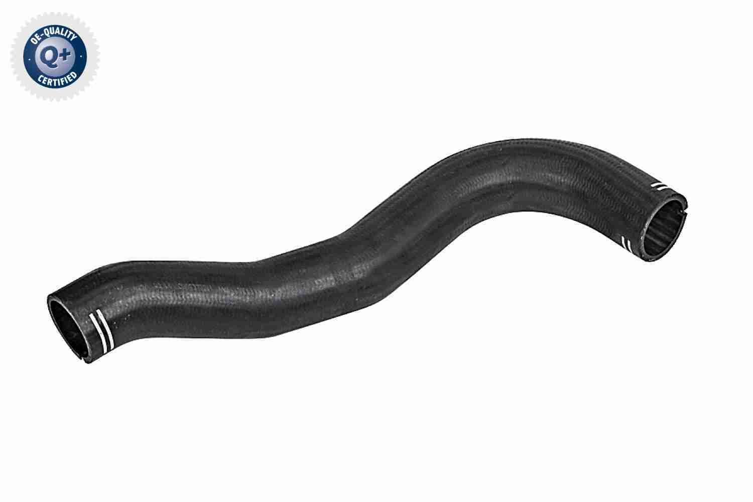 Kompresoriaus padavimo žarna VAICO V42-0608