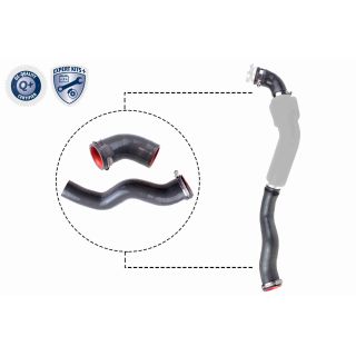 Kompresoriaus padavimo žarna VAICO V46-1031