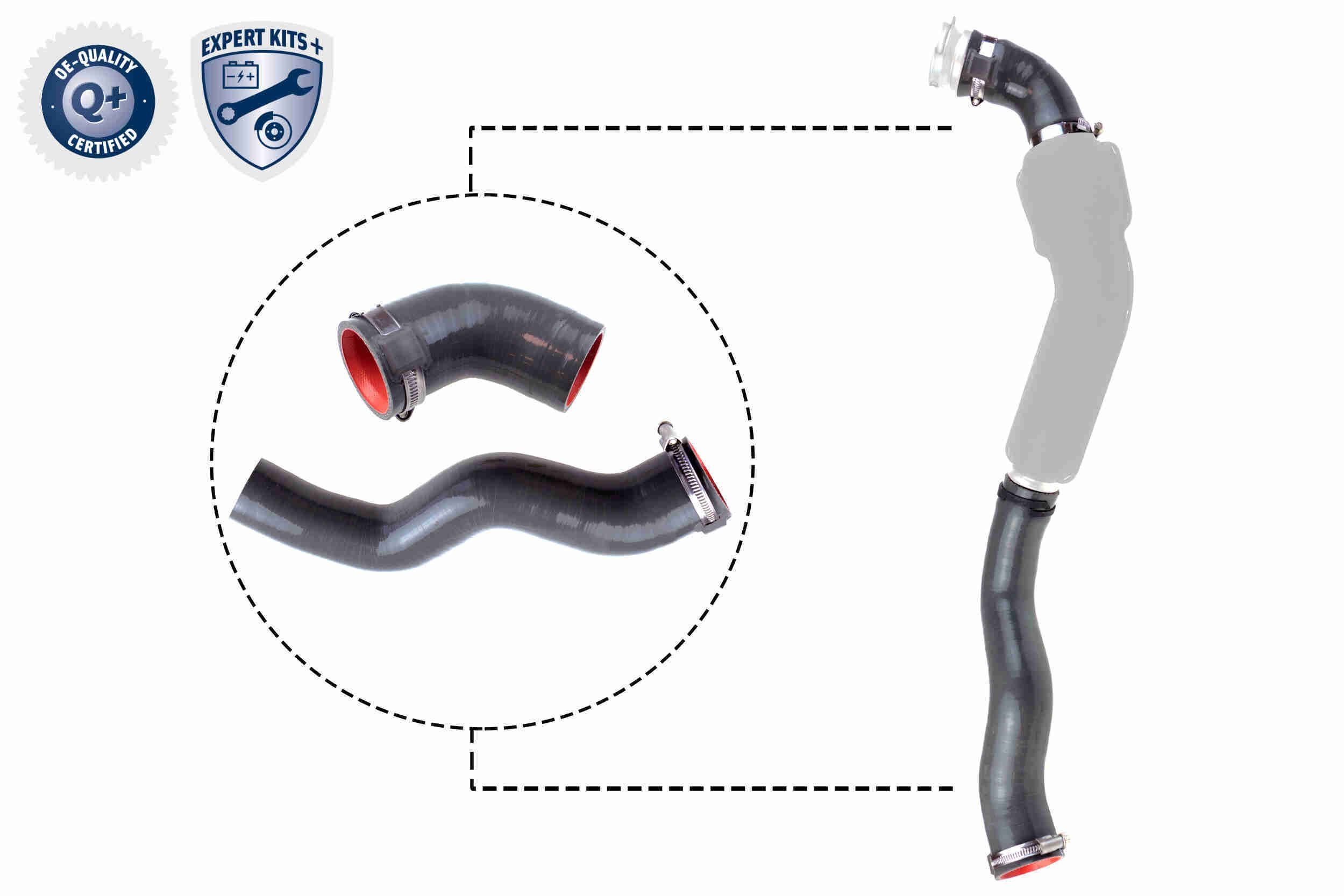 Kompresoriaus padavimo žarna VAICO V46-1031