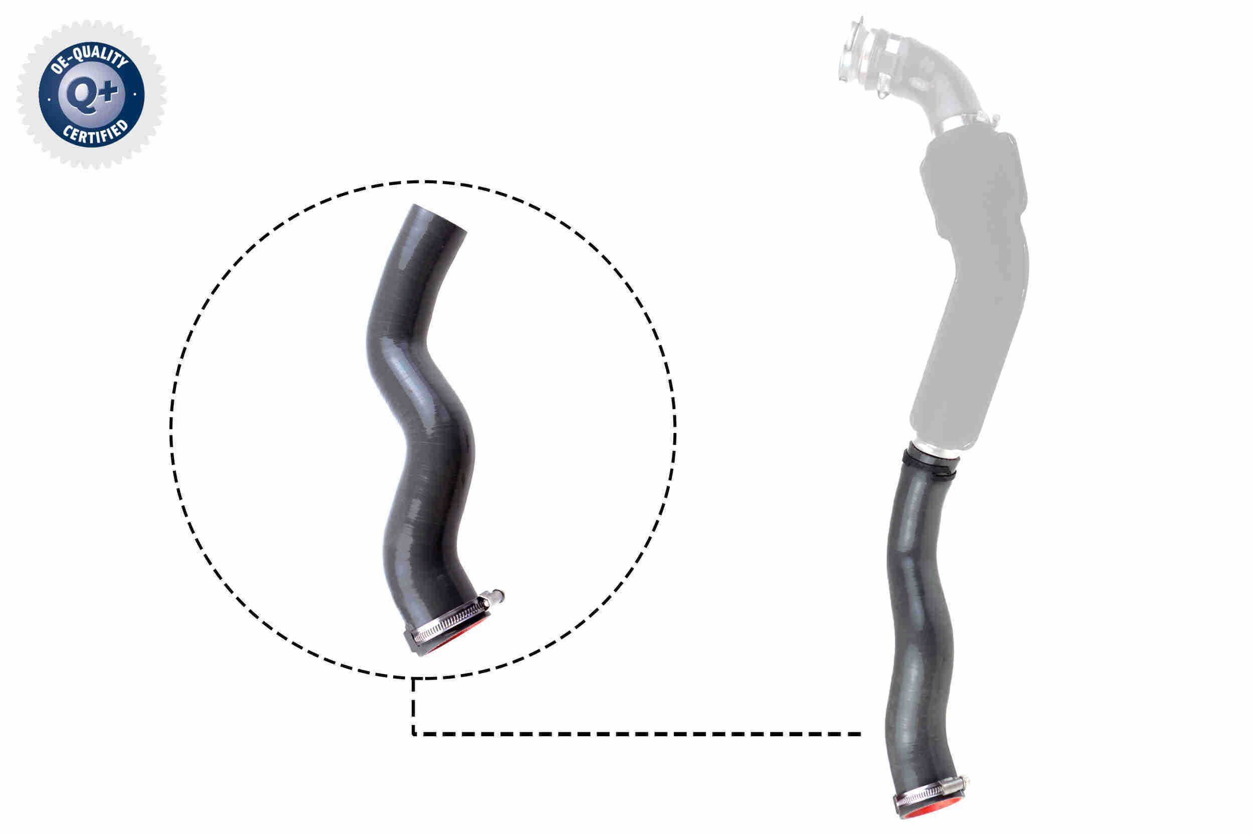 Kompresoriaus padavimo žarna VAICO V46-1032