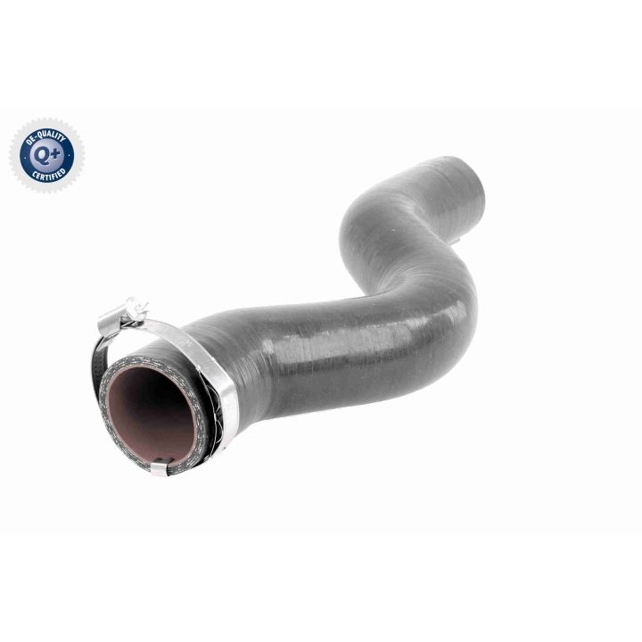 Kompresoriaus padavimo žarna VAICO V46-1034