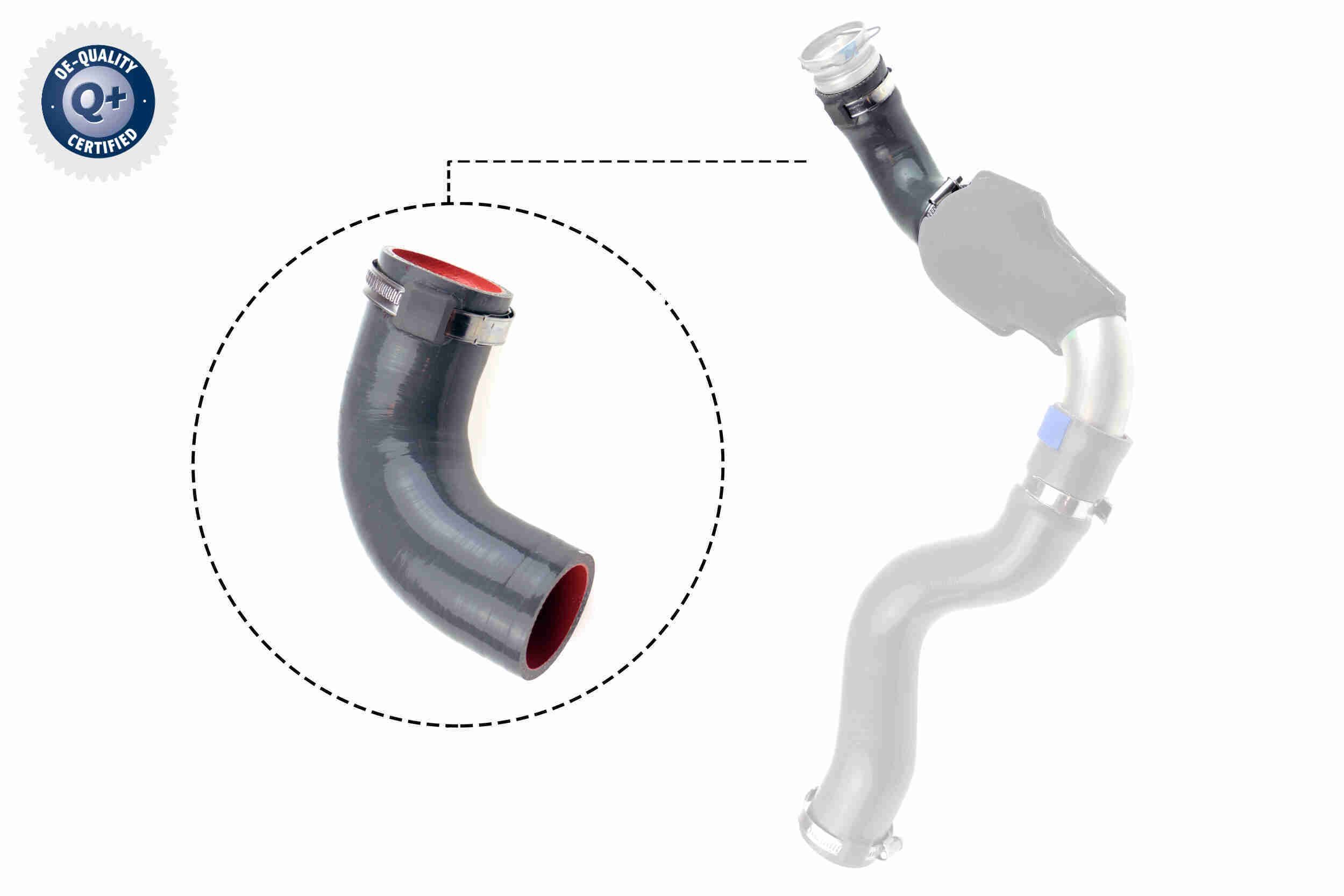 Kompresoriaus padavimo žarna VAICO V46-1035