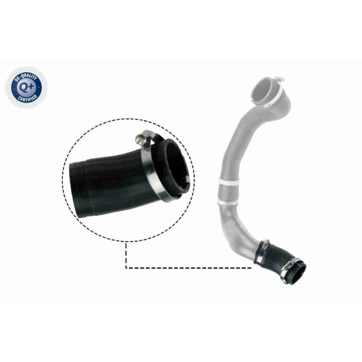 Kompresoriaus padavimo žarna VAICO V48-0186