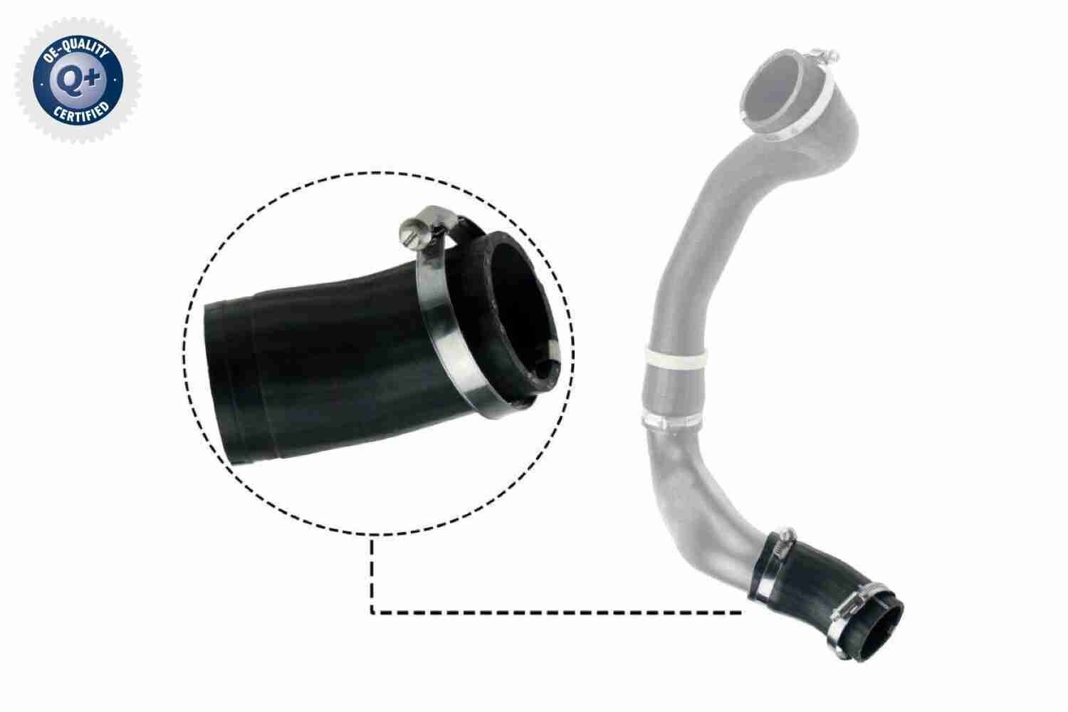 Kompresoriaus padavimo žarna VAICO V48-0186