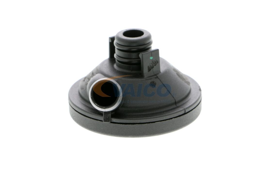 Alyvos atskyriklis, karterio alsuoklis VAICO V46-0845