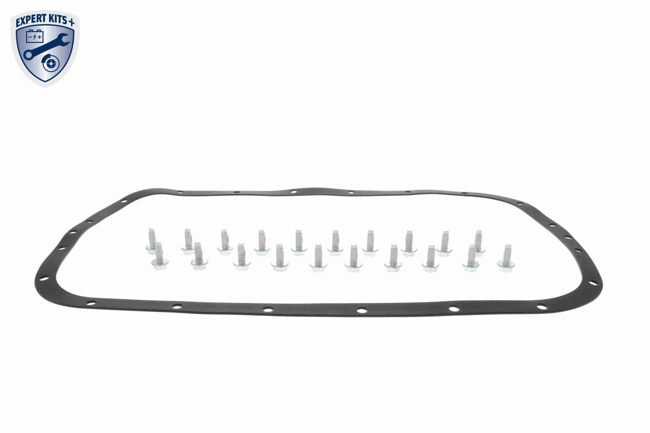 Hidraulinių filtrų komplektas, automatinė transmisija VAICO V20-0573