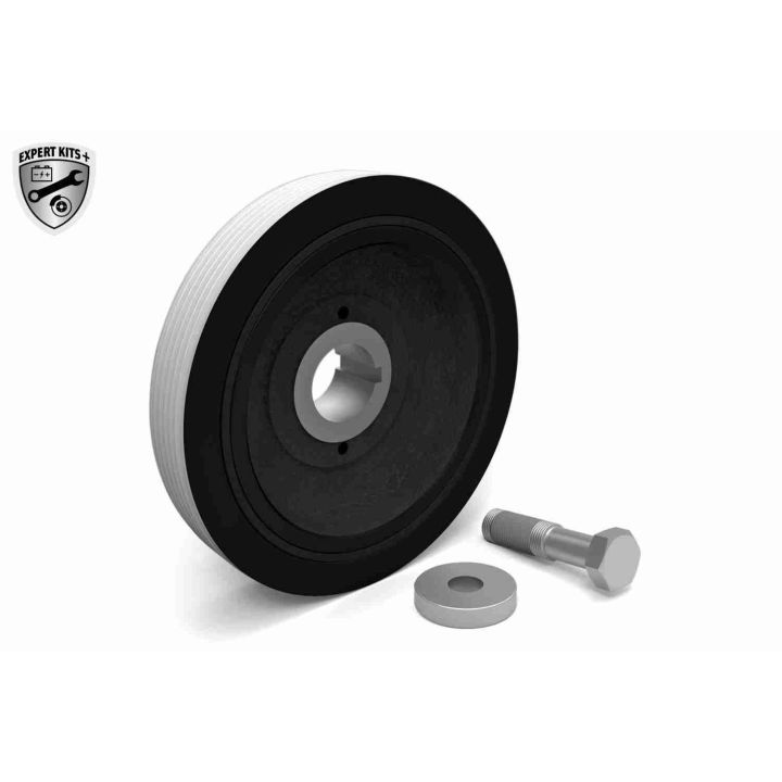 Alkūninio veleno skriemulių rinkinys VAICO V22-0418