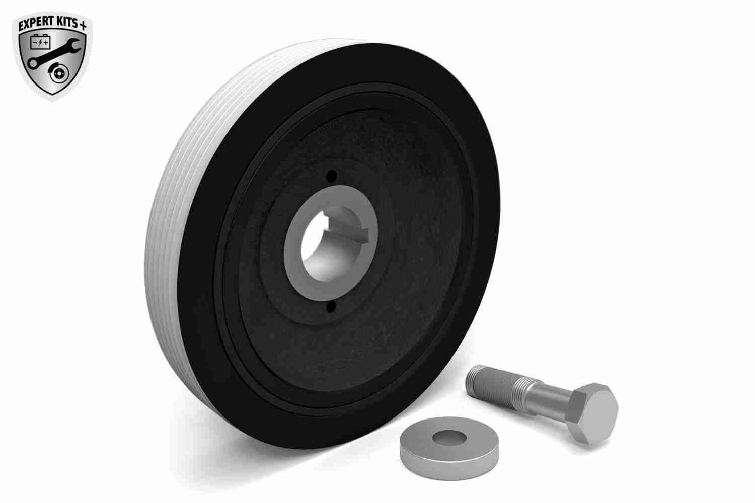 Alkūninio veleno skriemulių rinkinys VAICO V22-0418