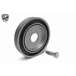 Alkūninio veleno skriemulių rinkinys VAICO V22-0420