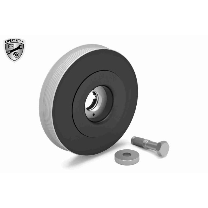 Alkūninio veleno skriemulių rinkinys VAICO V22-0422