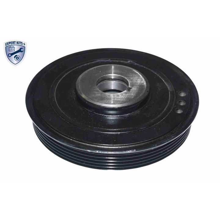 Alkūninio veleno skriemulių rinkinys VAICO V22-0422