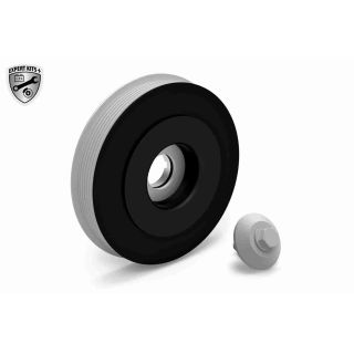 Alkūninio veleno skriemulių rinkinys VAICO V22-0423