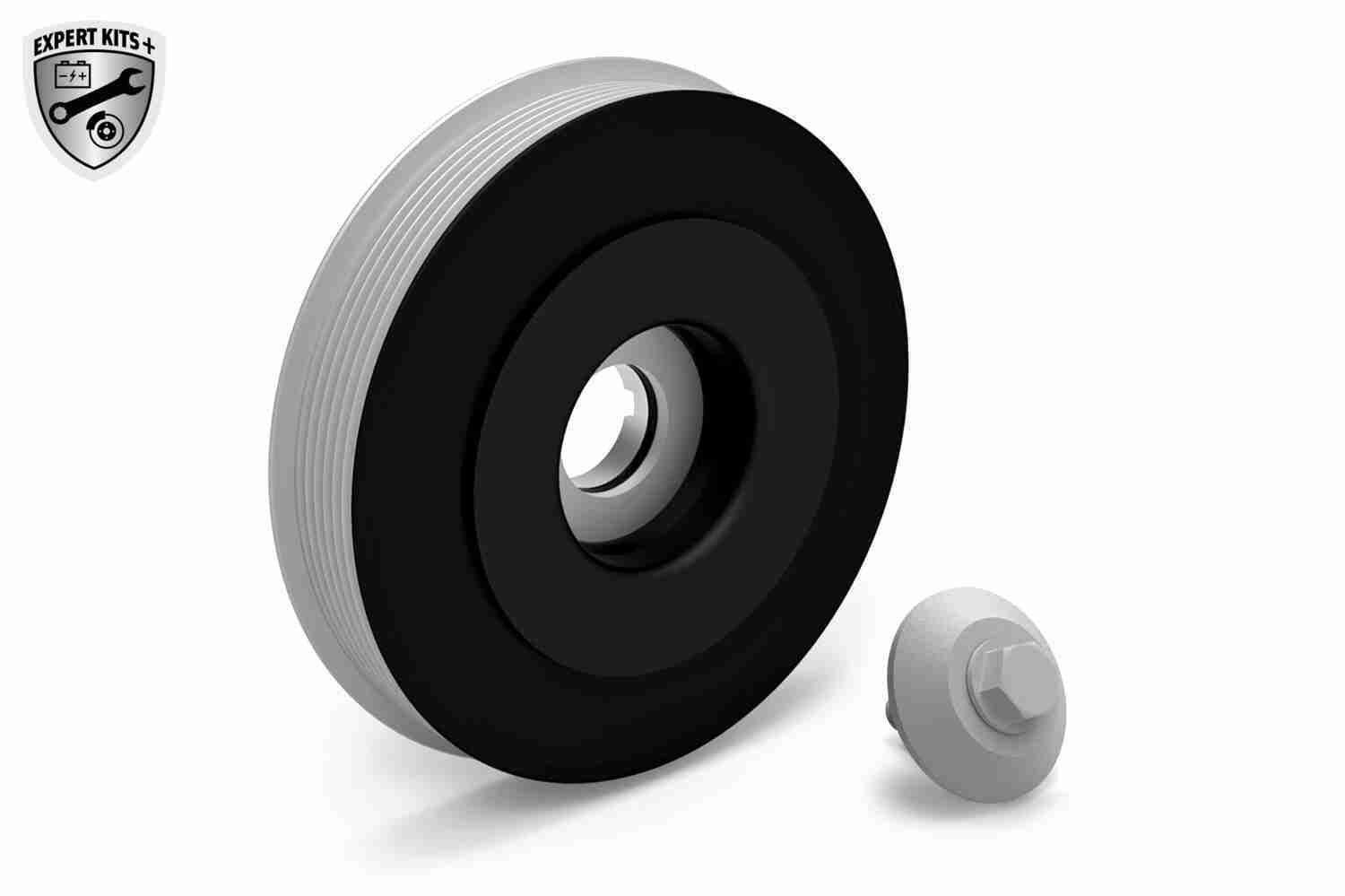 Alkūninio veleno skriemulių rinkinys VAICO V22-0423