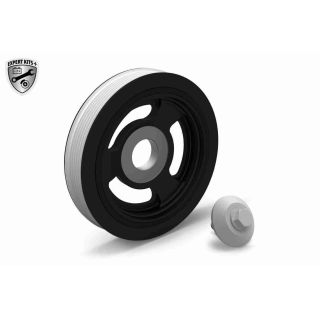 Alkūninio veleno skriemulių rinkinys VAICO V22-0426