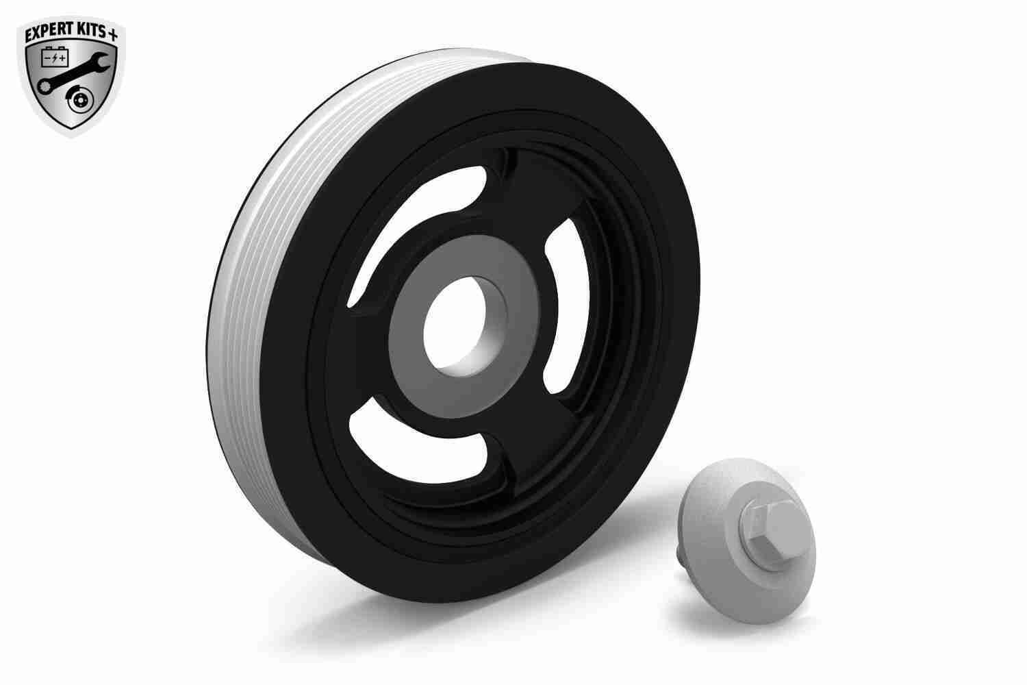 Alkūninio veleno skriemulių rinkinys VAICO V22-0426