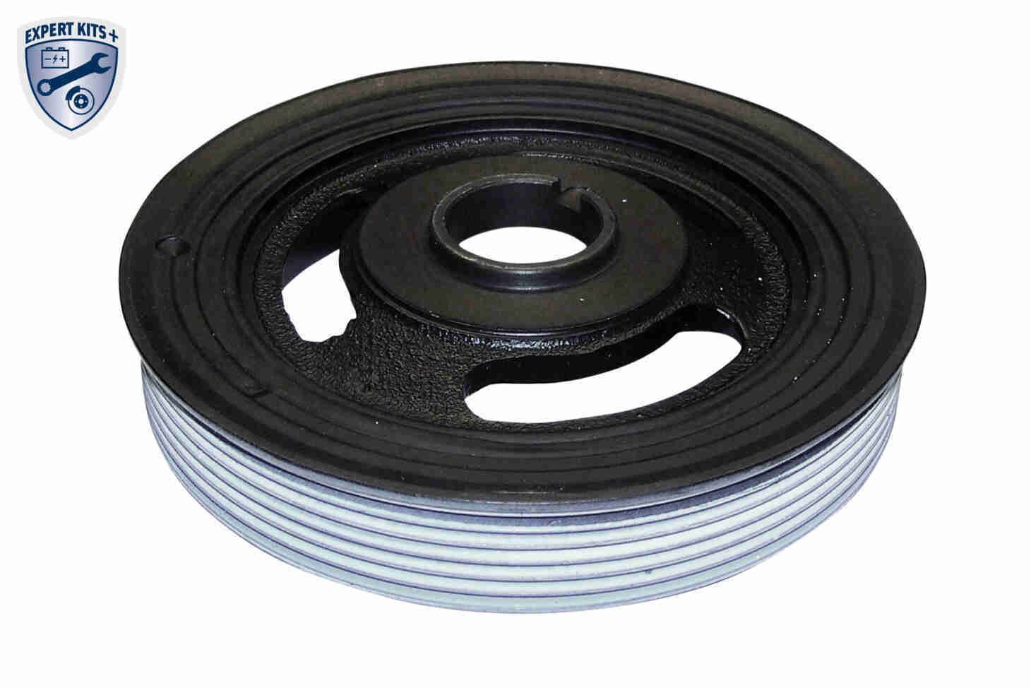 Alkūninio veleno skriemulių rinkinys VAICO V22-0426