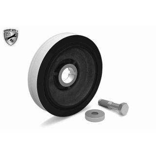 Alkūninio veleno skriemulių rinkinys VAICO V22-0427