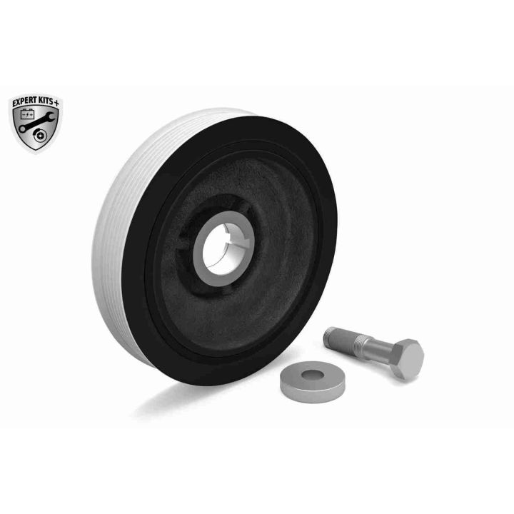 Alkūninio veleno skriemulių rinkinys VAICO V22-0427