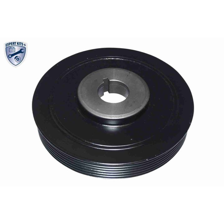 Alkūninio veleno skriemulių rinkinys VAICO V22-0427