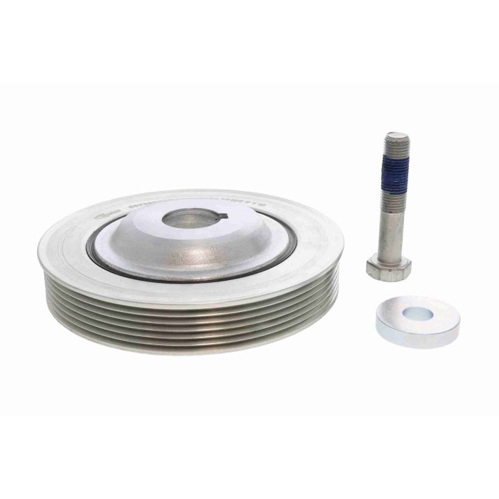 Alkūninio veleno skriemulių rinkinys VAICO V22-0890