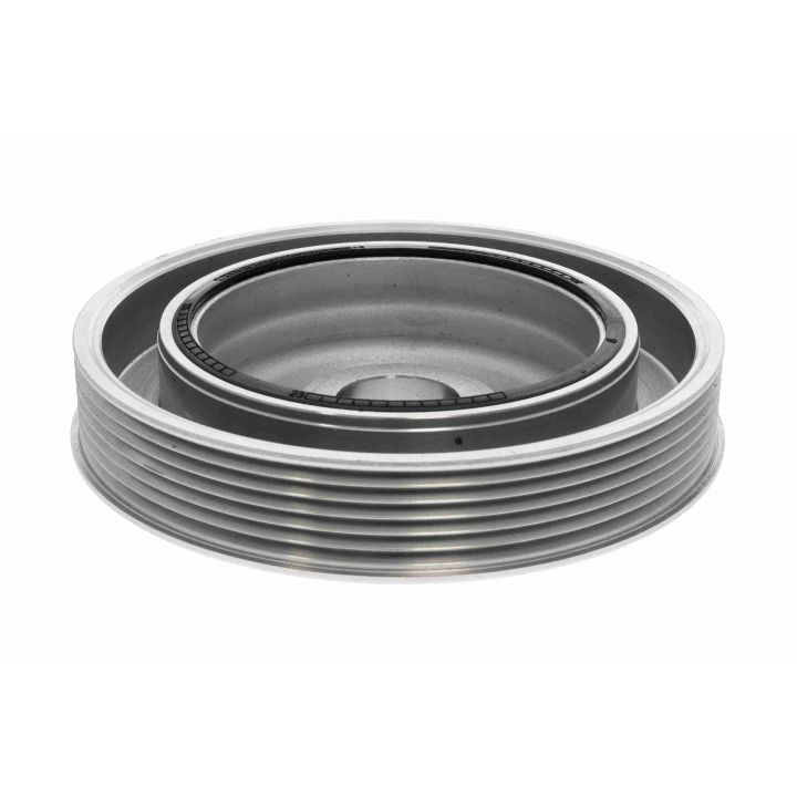 Alkūninio veleno skriemulių rinkinys VAICO V22-0890