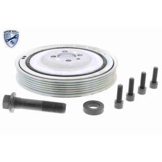 Alkūninio veleno skriemulių rinkinys VAICO V24-0865