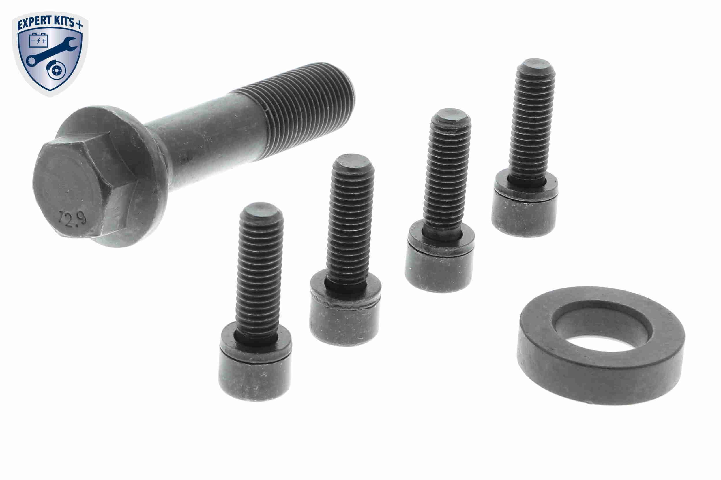 Alkūninio veleno skriemulių rinkinys VAICO V24-0865