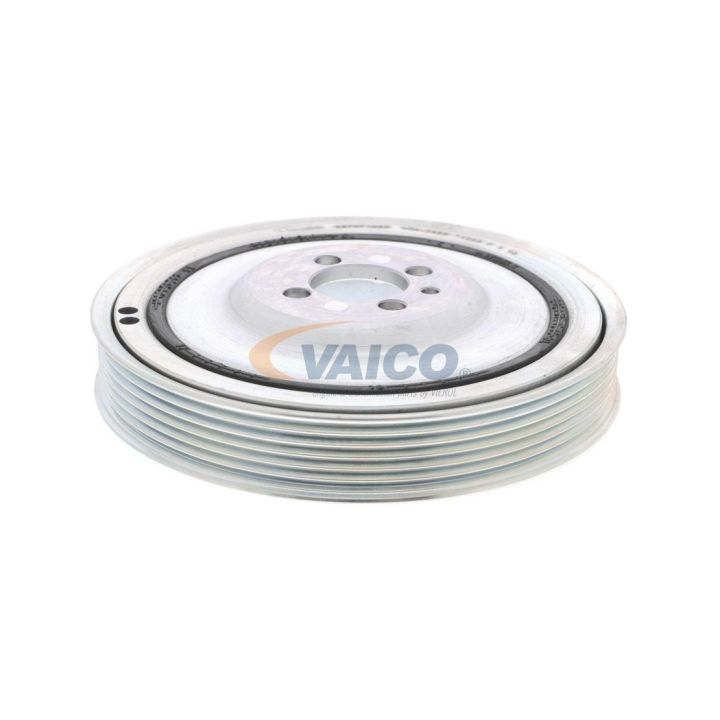 Alkūninio veleno skriemulių rinkinys VAICO V24-0865