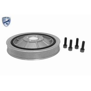 Alkūninio veleno skriemulių rinkinys VAICO V24-1745