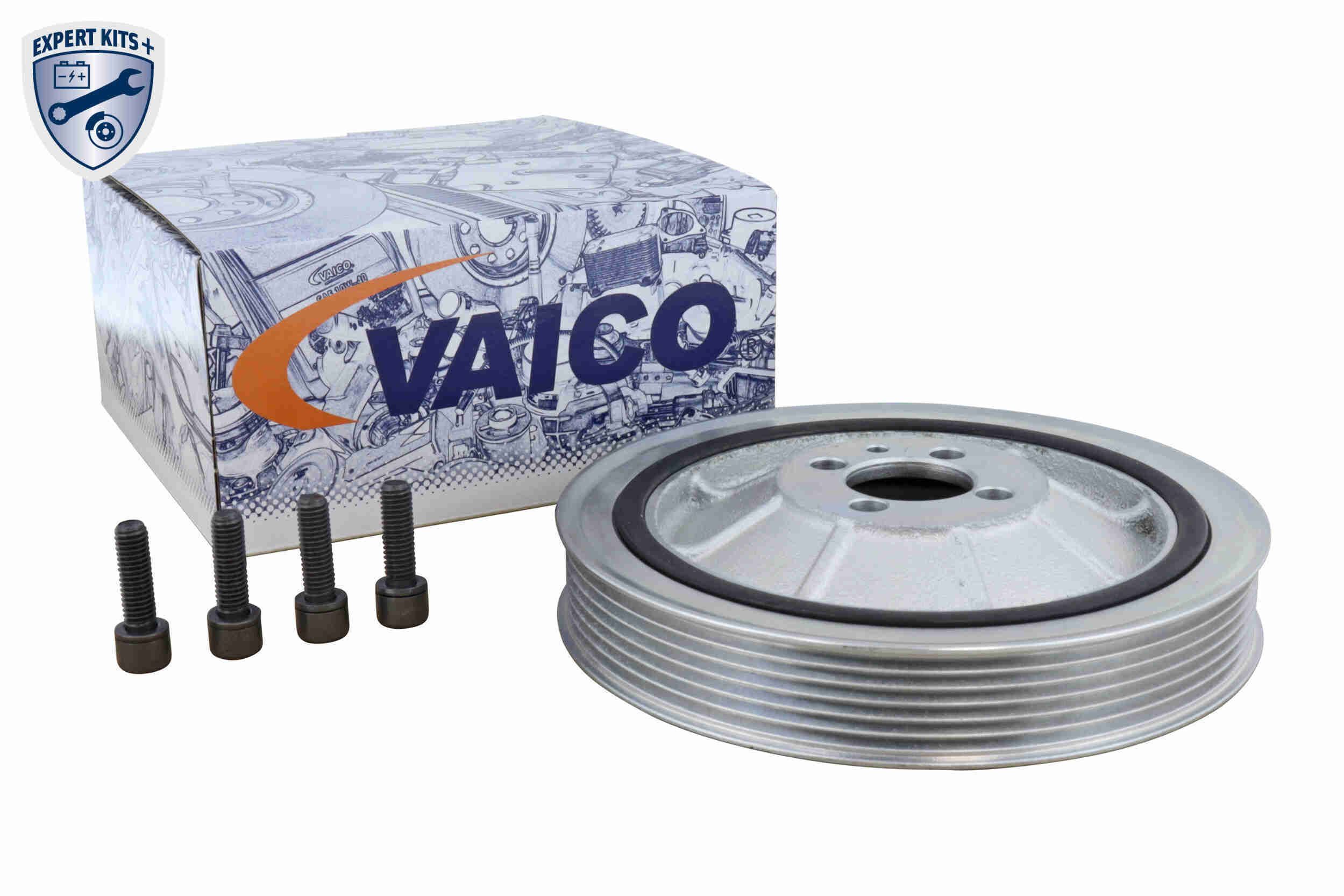 Alkūninio veleno skriemulių rinkinys VAICO V24-1745