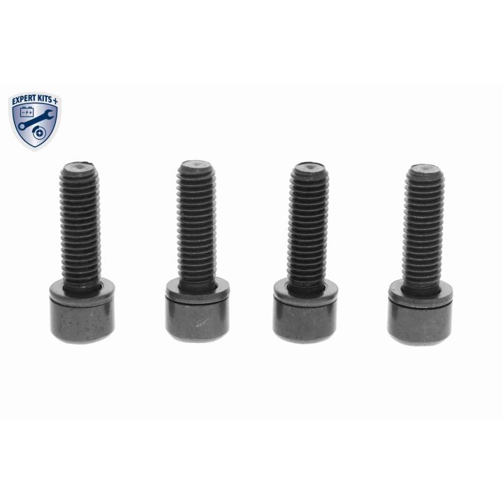 Alkūninio veleno skriemulių rinkinys VAICO V24-1745