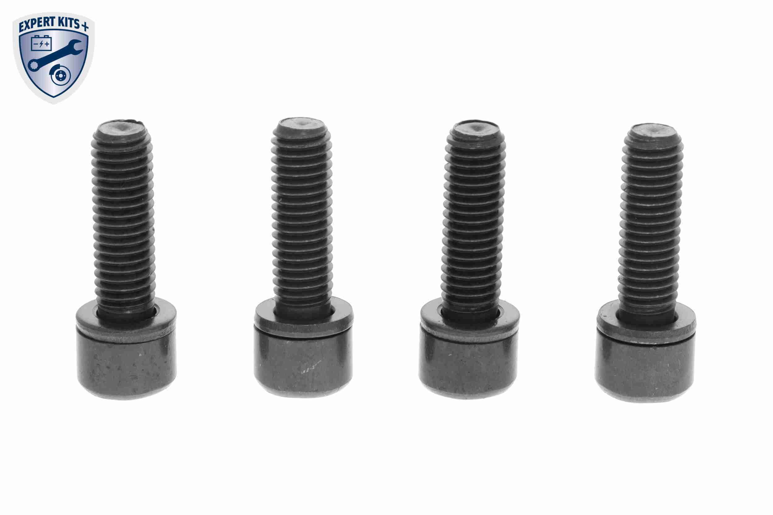 Alkūninio veleno skriemulių rinkinys VAICO V24-1745