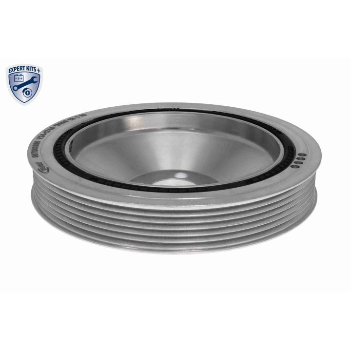 Alkūninio veleno skriemulių rinkinys VAICO V24-1745