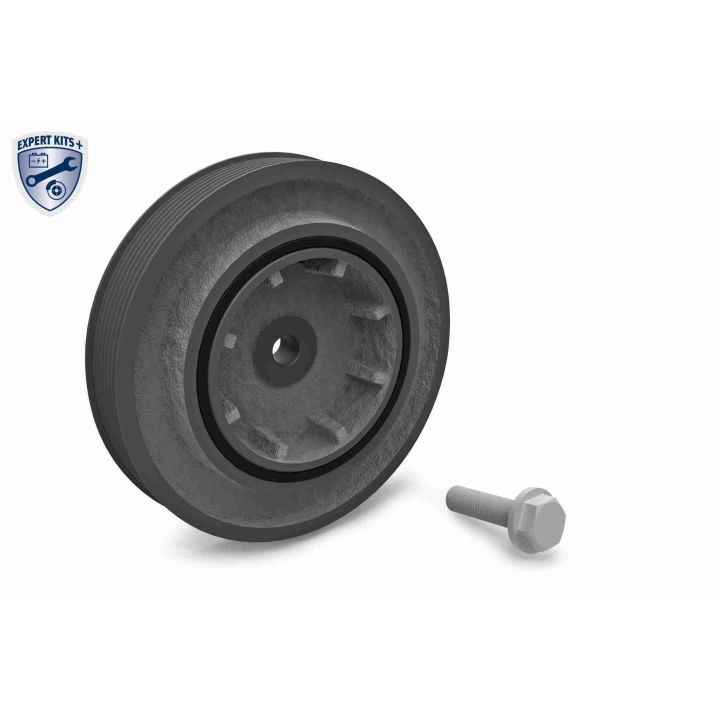 Alkūninio veleno skriemulių rinkinys VAICO V40-0232