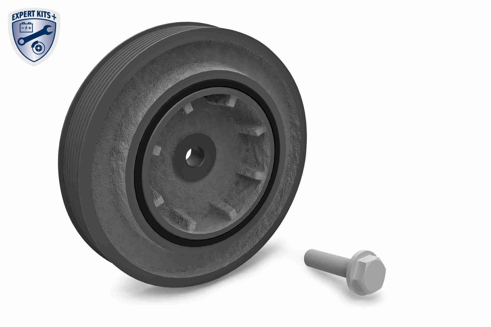 Alkūninio veleno skriemulių rinkinys VAICO V40-0232