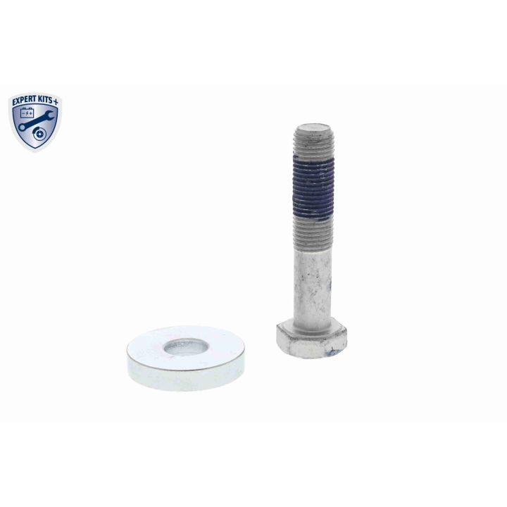 Alkūninio veleno skriemulių rinkinys VAICO V42-9523