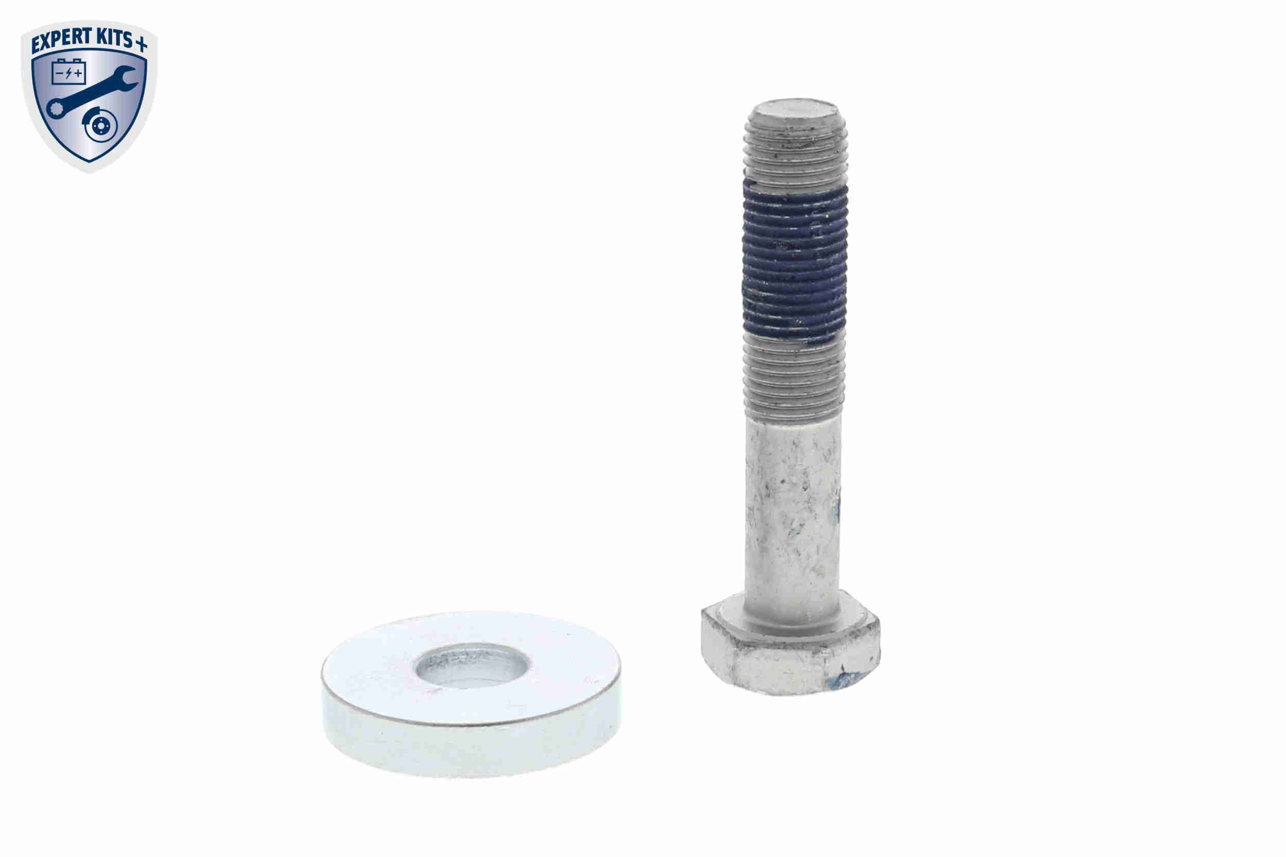 Alkūninio veleno skriemulių rinkinys VAICO V42-9523