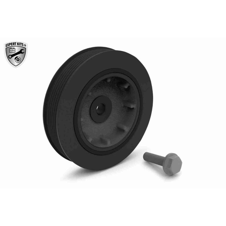 Alkūninio veleno skriemulių rinkinys VAICO V46-0779