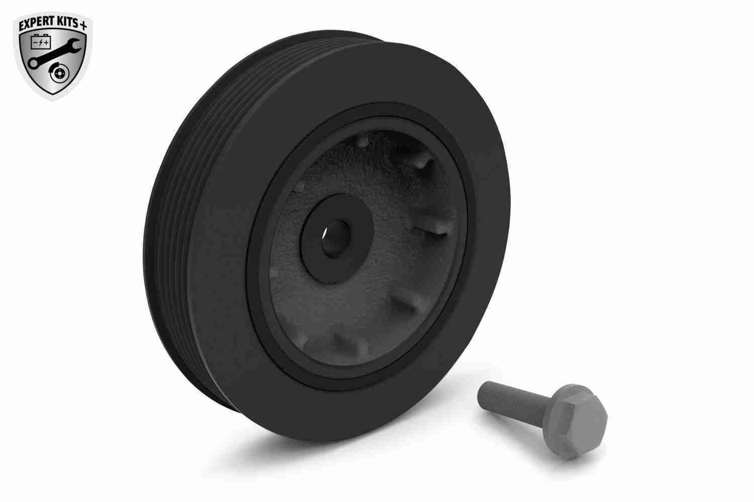 Alkūninio veleno skriemulių rinkinys VAICO V46-0779