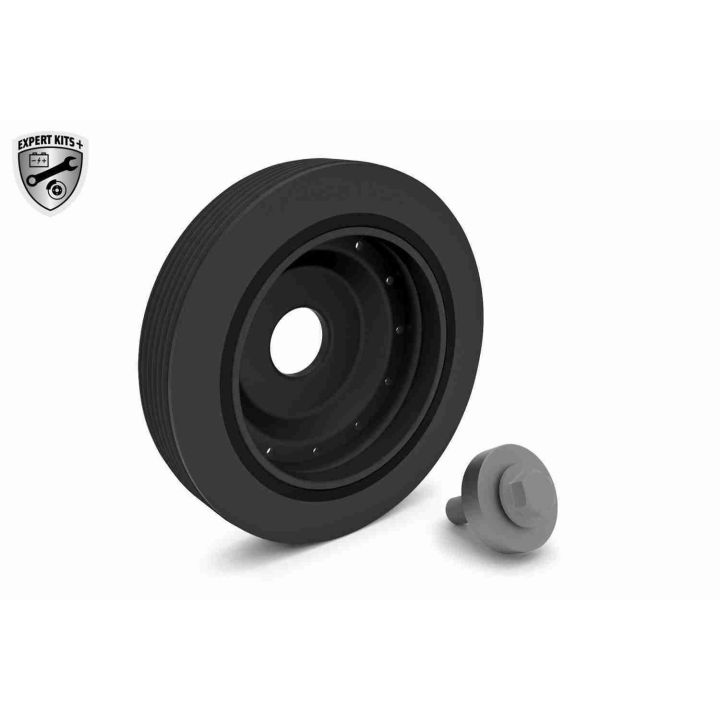 Alkūninio veleno skriemulių rinkinys VAICO V46-0784