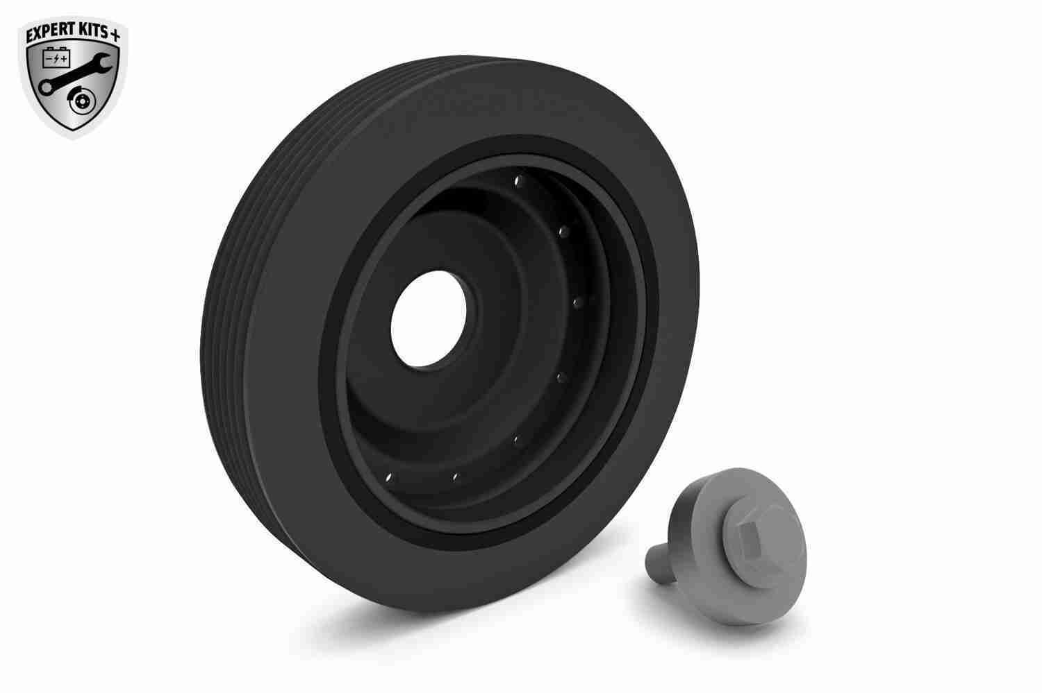 Alkūninio veleno skriemulių rinkinys VAICO V46-0784