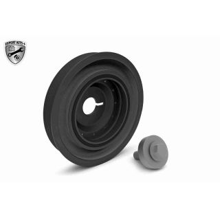 Alkūninio veleno skriemulių rinkinys VAICO V46-0785