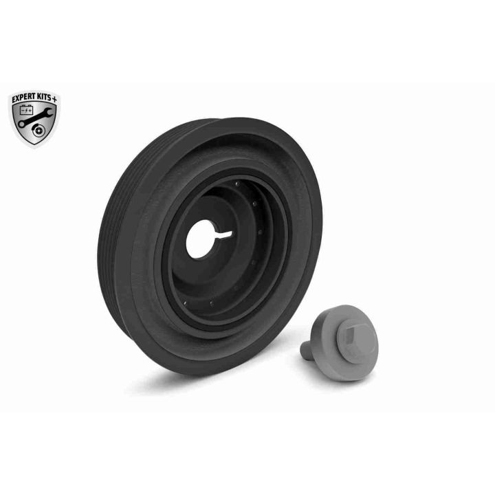 Alkūninio veleno skriemulių rinkinys VAICO V46-0785