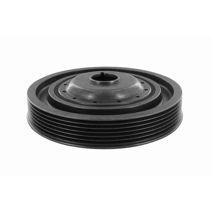 Alkūninio veleno skriemulių rinkinys VAICO V46-0785