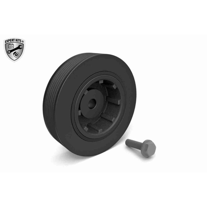 Alkūninio veleno skriemulių rinkinys VAICO V46-0786