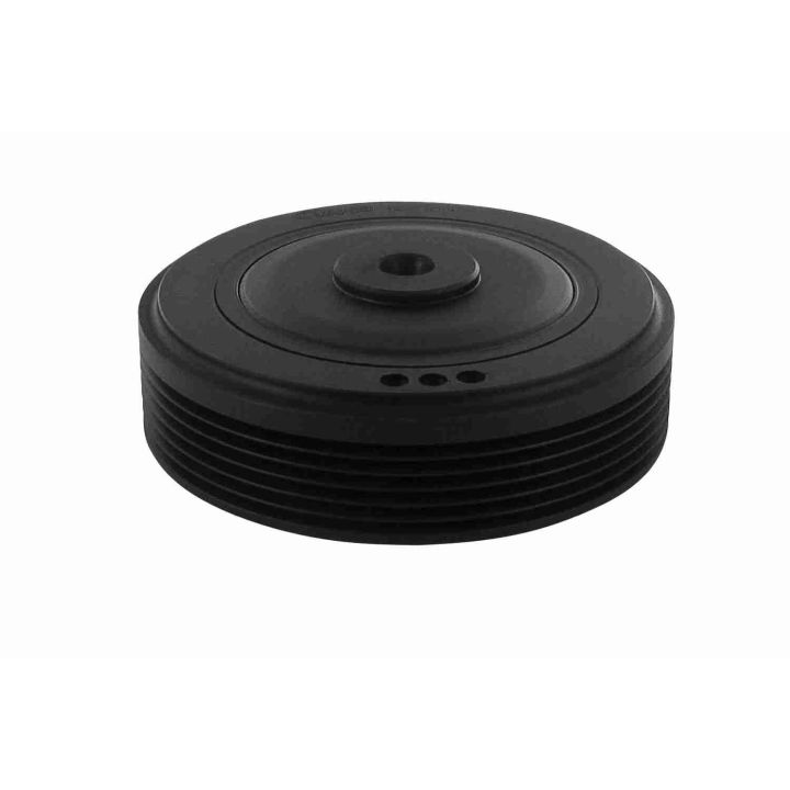 Alkūninio veleno skriemulių rinkinys VAICO V46-0786